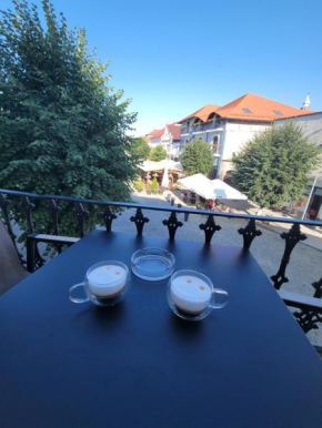 Fagaras City Center Experience